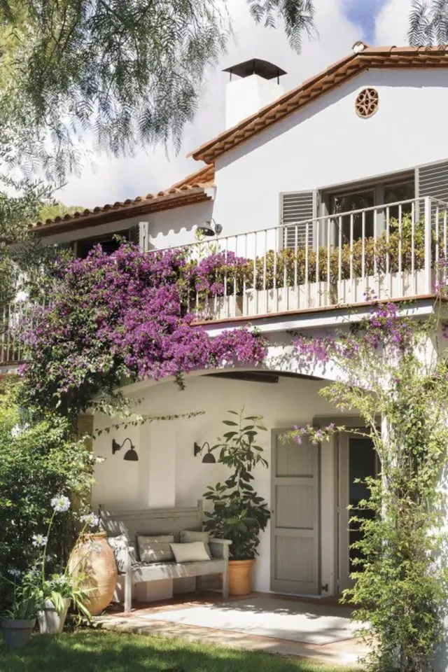 decor jardin devant maison exemple plante grimante sur façade fleurs banc porche