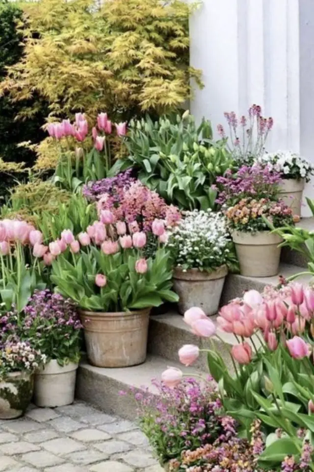 decor jardin devant maison exemple pots de fleurs tulipes fleurs printemps colorées marche escaliers sans terre béton