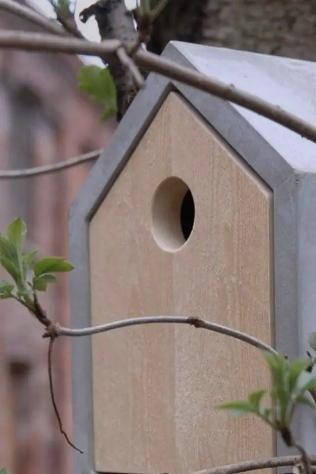 diy creatif jardin beton refuge oiseau bois minimaliste chic à faire soi-même