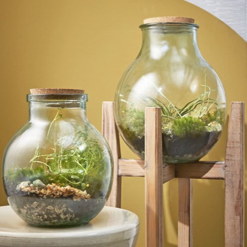 ou acheter deco ecoresponsasble recyclee pas cher Vase en verre recyclé H38 terrarium