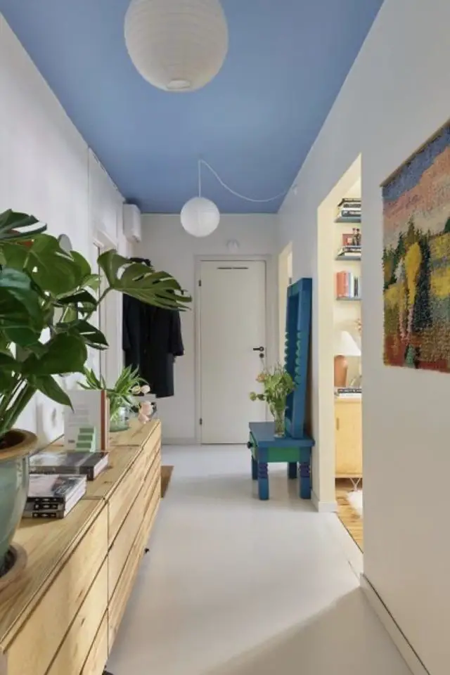 soigner decoration entree idees couloir profond peinture plafond bleue meuble en bois plante verte et objets décoratifs
