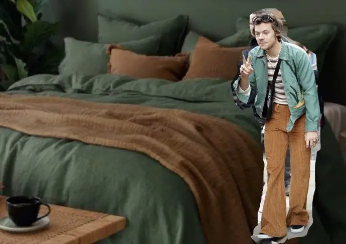 deco interieur harry styles exemples idees couleur look accessoire ambiance moderne vintage one direction