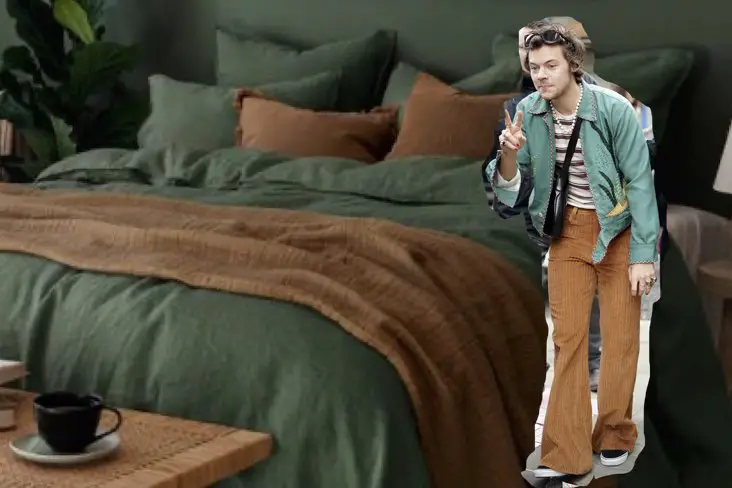 deco interieur harry styles exemples idees couleur look accessoire ambiance moderne vintage one direction