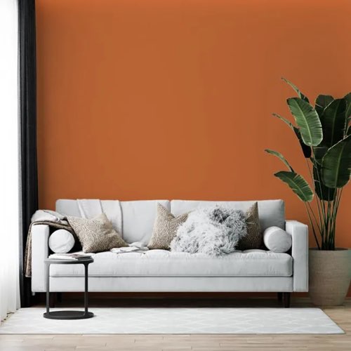 decoration orange revetement mural Peinture intérieure dépolluante Orange mur plafond bois