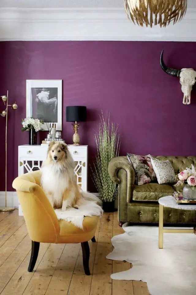 association couleur deco jaune violet magenta peinture tendance fauteuil ancien jaune velours salon