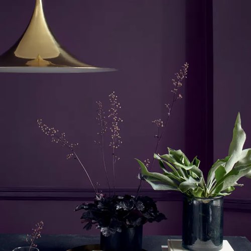 revetement mur jaune violet leroy merlin Peinture mur, boiserie prune satin