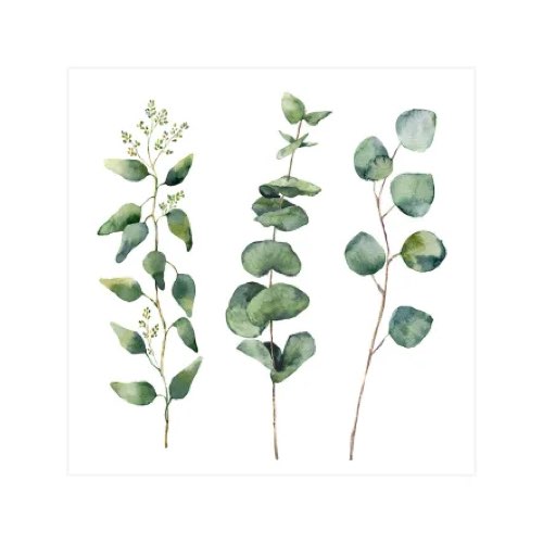 deco objet dessus lit Affiche aquarelle eucalyptus 30x30cm