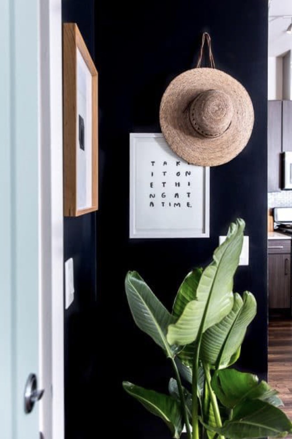 idee deco entree moderne exemple appartement petite maison pan de mur noir tableau déco blanc chapeau de paille décor mur facile pas cher plantes verte