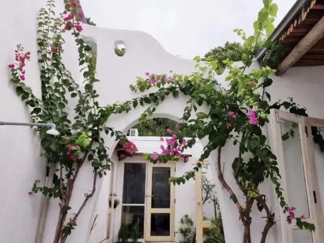 villa style mediterraneen voyage asie sud-est arche extérieure plantes vertes tropicale fleurs