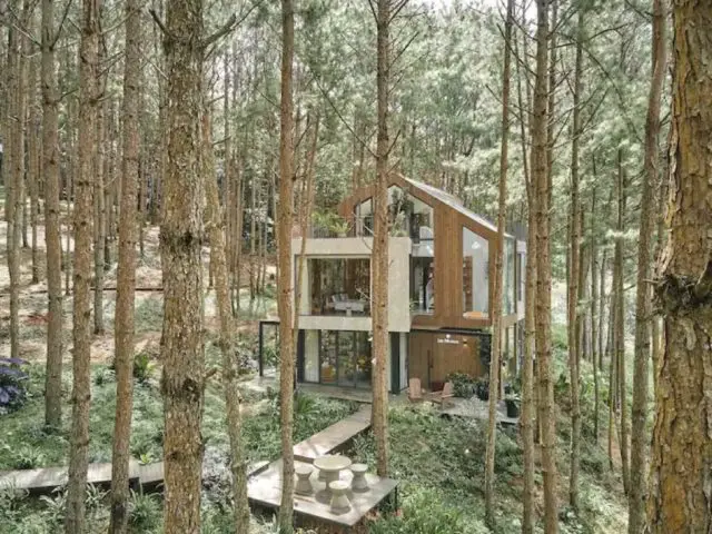 voyage vietnam dormir villa design moderne pleine nature arbre repos calme végétation