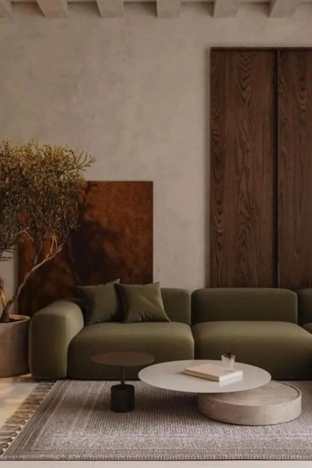 decor wabi sabi caracteristiques salon canapé cosy couloré mur beige écru imparfait panneau de bois plante arbuste tapis table basse ronde