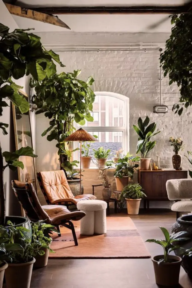 varietes plantes interieur salon salle a manger pièce à vivre vintage mobilier années 50 végétal cosy