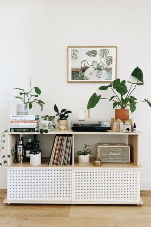 varietes plantes interieur salon salle a manger meuble blanc moderne plante à poser petite taille peu d'entretien