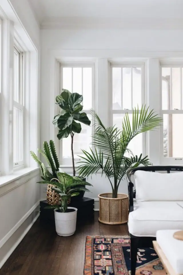 varietes plantes interieur salon salle a manger angle d'une pièce de vie grand format taille XXL touche de couleur espace blanc et neutre