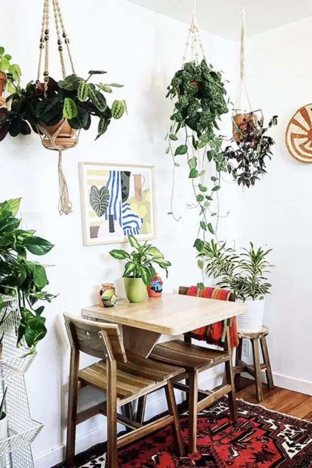 varietes plantes interieur salon salle a manger coin repas appartement plantes suspendues posées sur un tabouret ambiance moderne et végétale