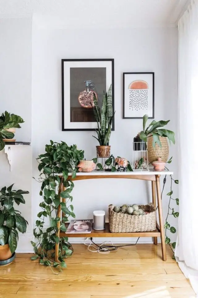 varietes plantes interieur salon salle a manger décorer une console scandinave blanche et bois décor pièce de vie lumineuse moderne