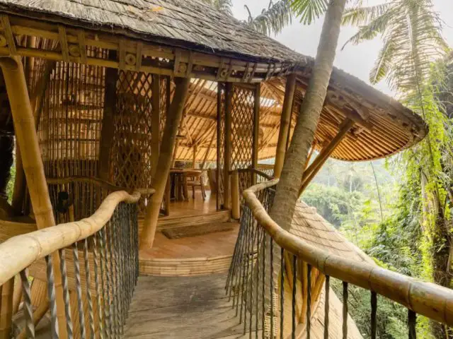 voyage indonesie maison design bambou passerelle vue sur la nature jungle tropicale
