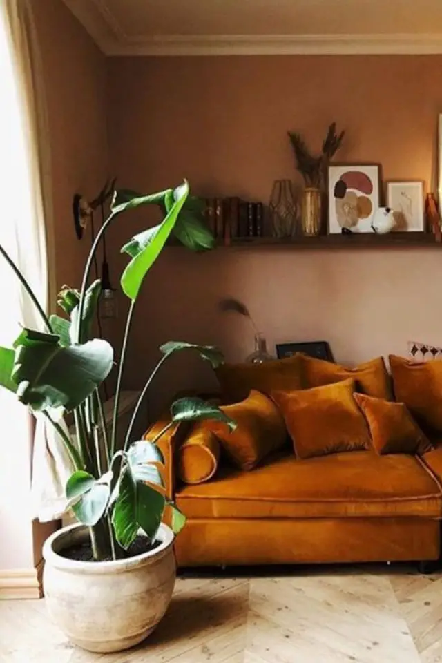 salon hiver cocooning exemple canapé orange rouille en velours mur peinture terracotta clair plante verte étagère bois sombre