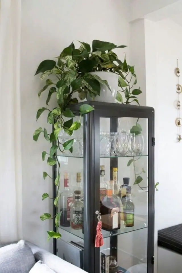 ou acheter meuble vitrine moderne petit rangement vitré noir tendance plantes verte bar vaisselle verre