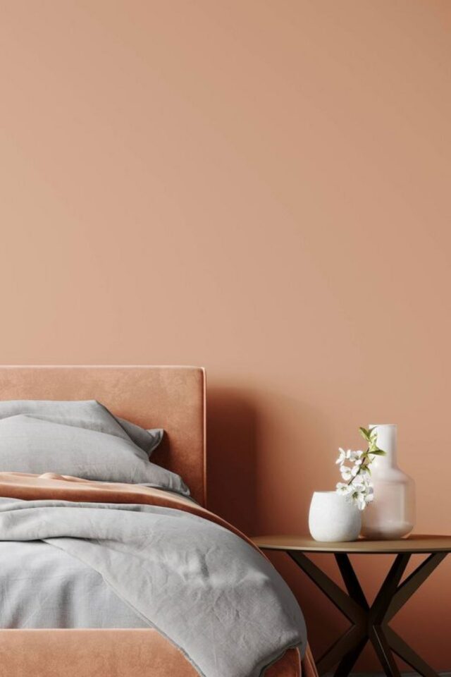 couleur peach fuzz decoration exemple chambre adulte chaleureuse et douce ton sur ton mur et tête de lit drap gris perle