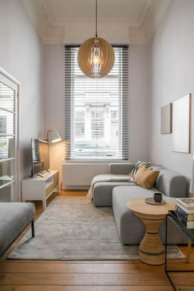 canape petit salon exemple pièce tout en longueur appartement store tapis meuble TV blanc