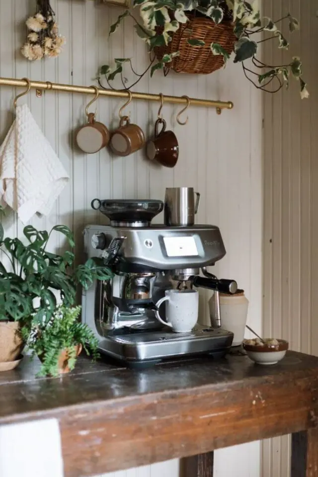 coin cafe cuisine moderne machine à café semi-professionnelle inox barre murale pour suspendre les tasse lambris plantes vertes 