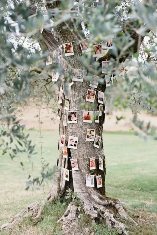 décoration de mariage au printemps facile à faire pas cher arbre extérieur photo de famille polaroid 