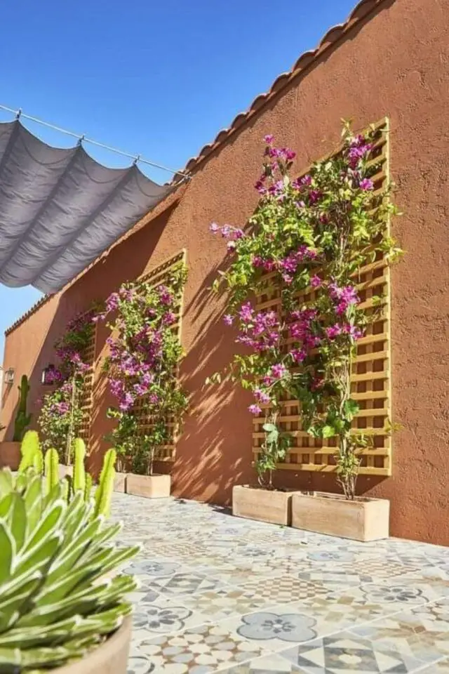 amenagement terrasse pot de fleurs jardinière double posé au sol avec plantes grimpantes treillis accrochés au mur 