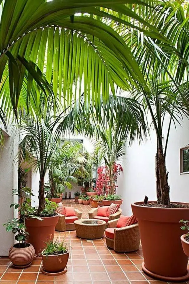 amenagement terrasse pot de fleurs maxi format plantes tropical palmier disposé en allé quinconce ombre pour le salon de jardin