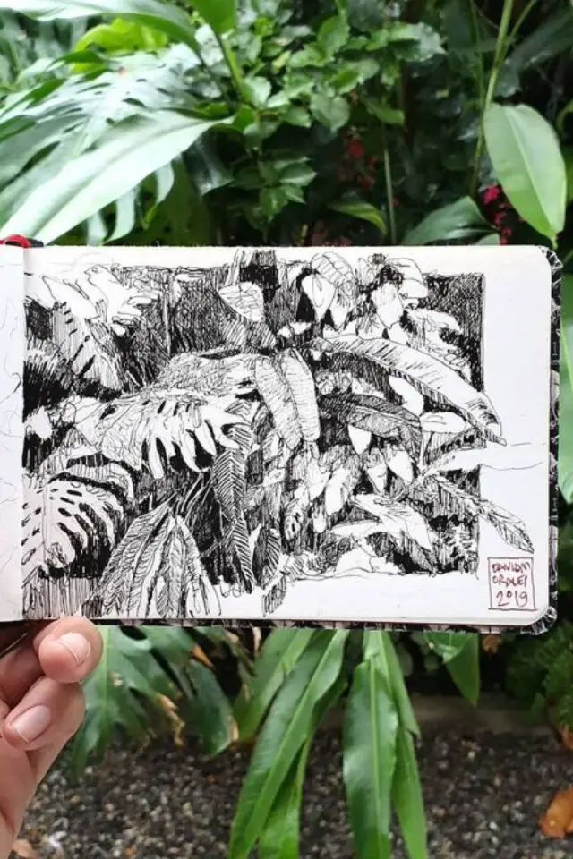 carnet de voyage illustration nature exemple végétation tropicale dessin au feutre détails hachures 