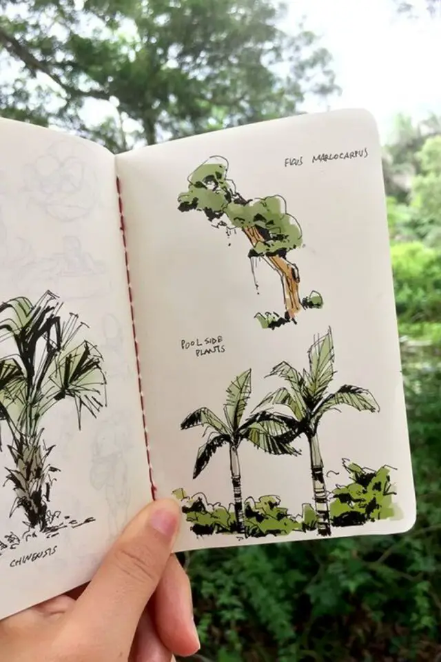 carnet de voyage illustration nature exemple croquis colorés dessin arbre feuillage végétation 