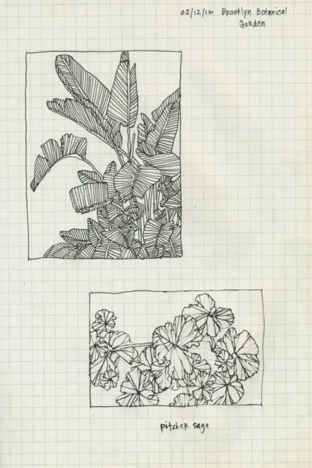 carnet de voyage illustration nature exemple petit encadré croquis végétation dessin en noir et blanc feutre