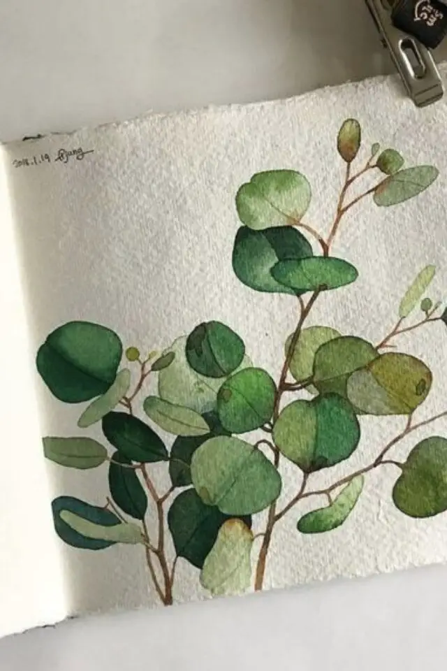 carnet de voyage illustration nature exemple aquarelle plantes vertes délicat