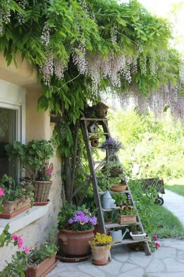 jardin rustique idée déco à copier échelle en bois récup' pots de fleurs niche à oiseaux arrosoir en métal terrasse façade plantes grimpantes 