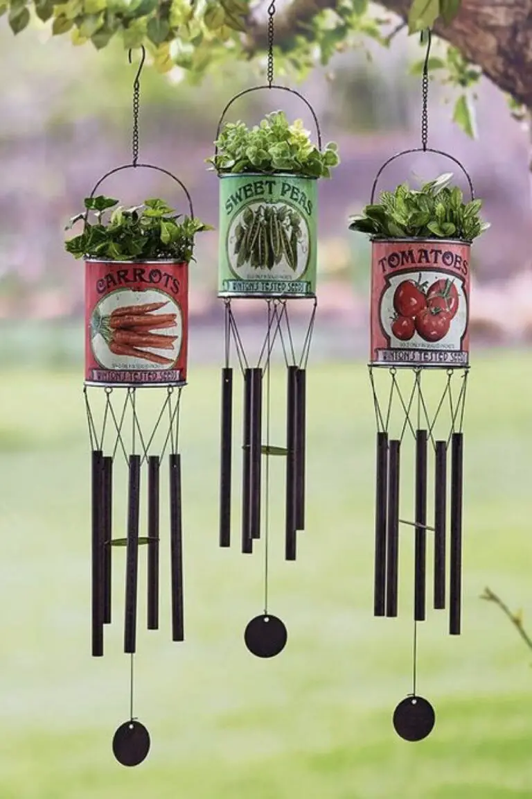 Hachoirs En Forme De Cloche En Terre Cuite Dans Le Jardin De La Cuisine Du Yorkshire 36464779