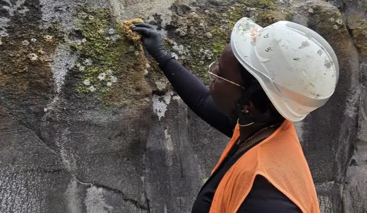peintre décorateur île de france reconversion professionnelle parcours définition du métier
