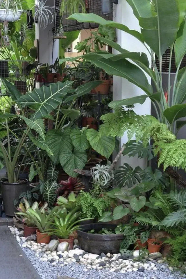 jardin avec galet photo parterre massif plantes tropicale en pot idée facile d'entretien 