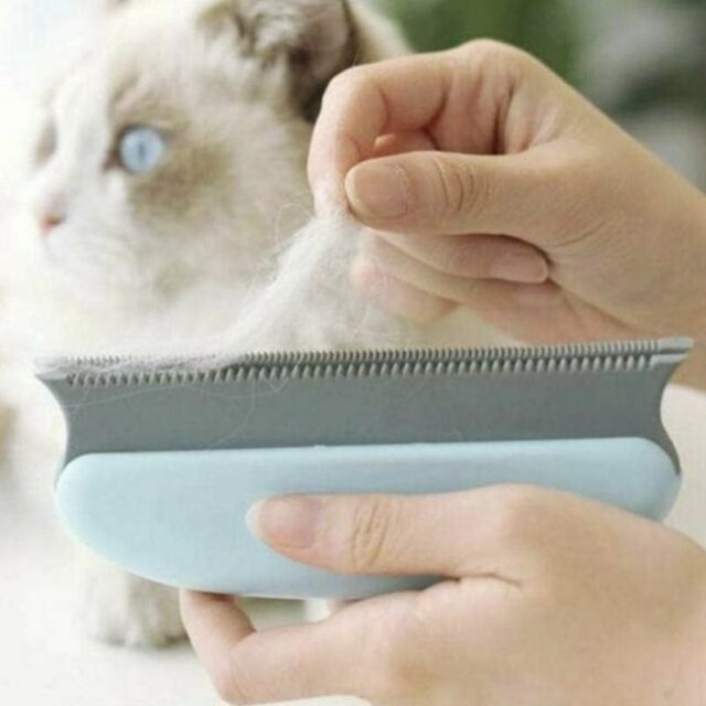 solution pour enlever les poils d'animaux sur le canapé Brosses Anti Poils Animaux Chat Chien, 2 en 1