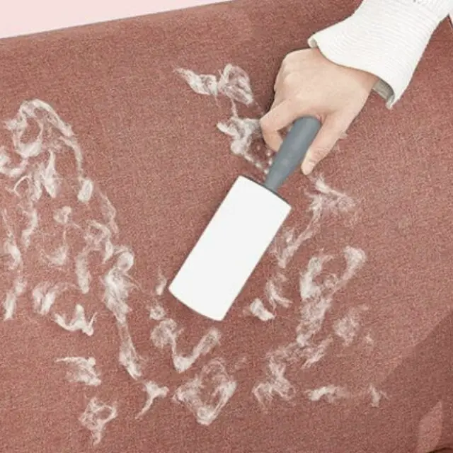 solution pour enlever les poils d'animaux sur le canapé Bigoudi pour animaux de compagnie autocollant pas cher 