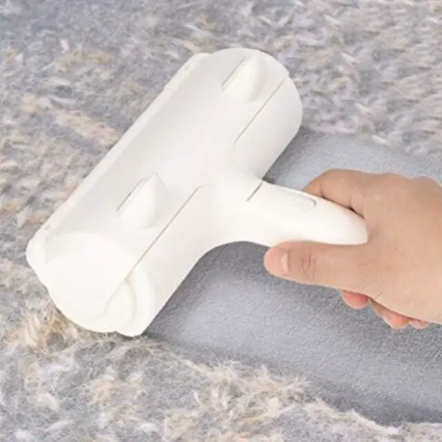 solution pour enlever les poils d'animaux sur le canapé Brosse Anti Poils Animaux Chat Chien