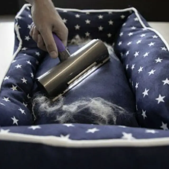 solution pour enlever les poils d'animaux sur le canapé Fur Daddy Sweeper Brush - Brosse anti poils