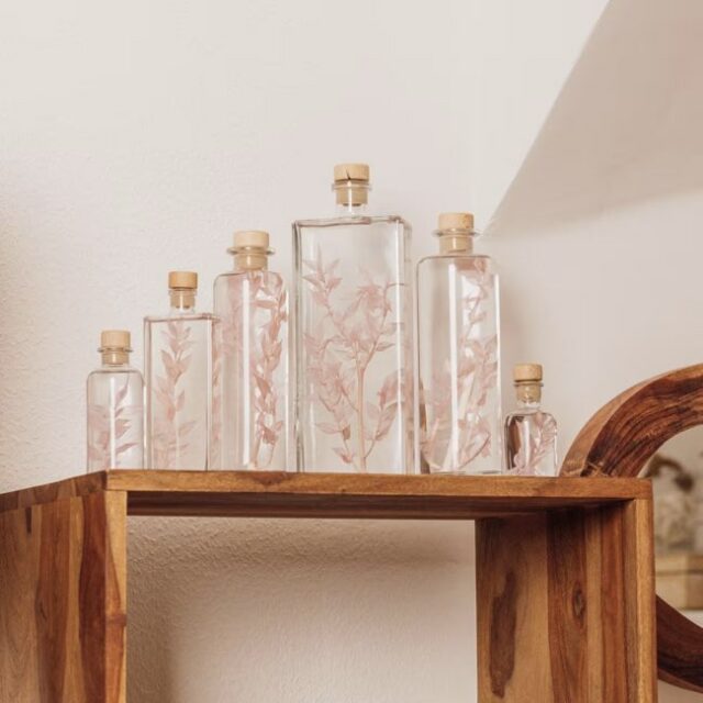 Herbarium de theophile - Plante immergée Ruscus