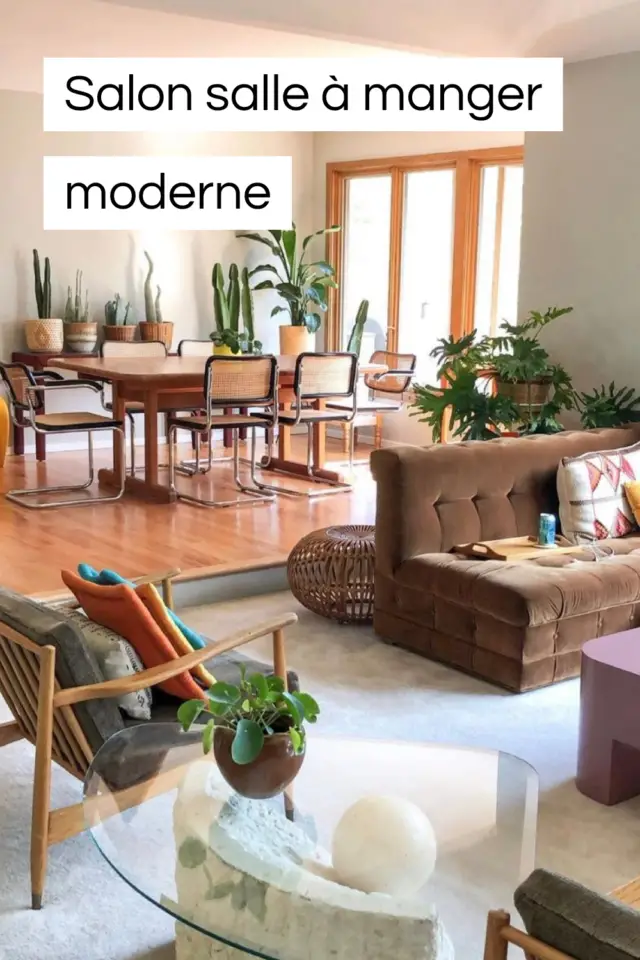 salon salle à manger décoration moderne exemple canapé plante table 