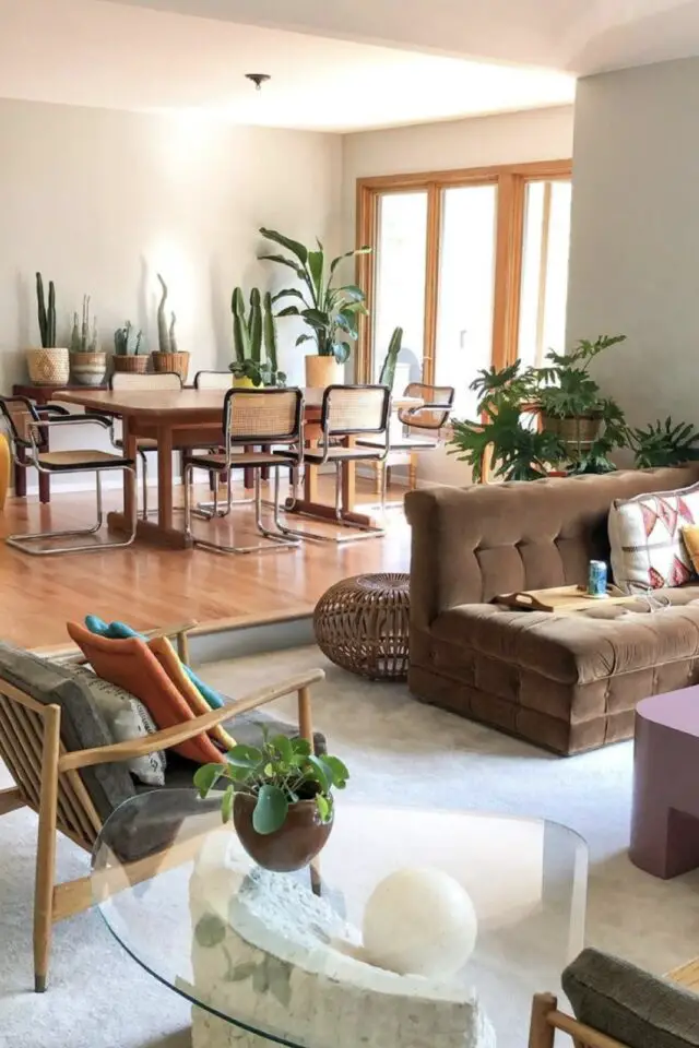 salon salle à manger moderne photo ambiance lumineuse vintage canapé marron velours chaises cannage plantes vertes table en verre 