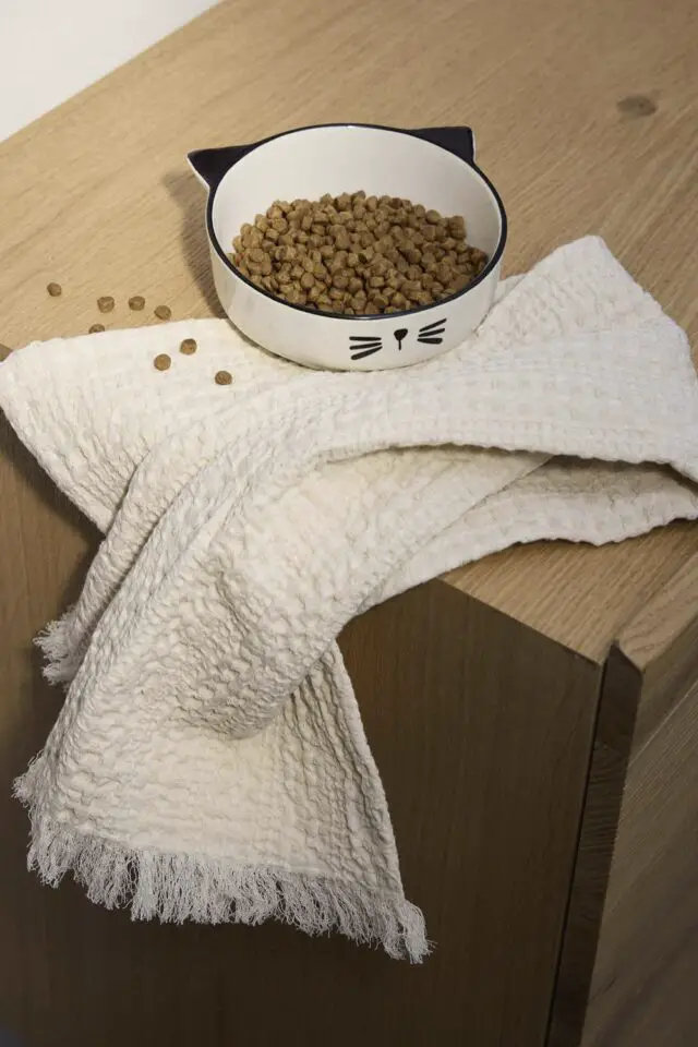 Gamelle inclinée pour chat en grès écru imprimé noir