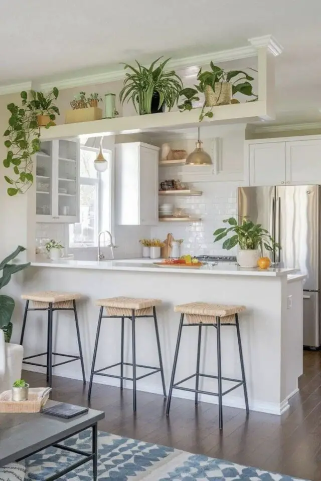 cuisine surface m2 partiellement fermée muret plantes plan de travail séparation salon séjour idée 