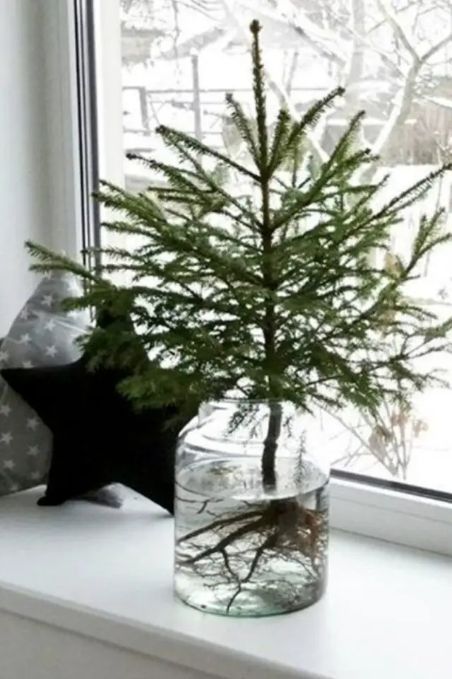 décoration noël au naturel branche de sapin petit vase en verre transparent facile et rapide rebord de fenêtre 