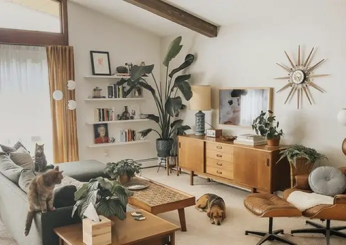 décoration salon mur exemples et solutions modernes tendances conseils déco murale