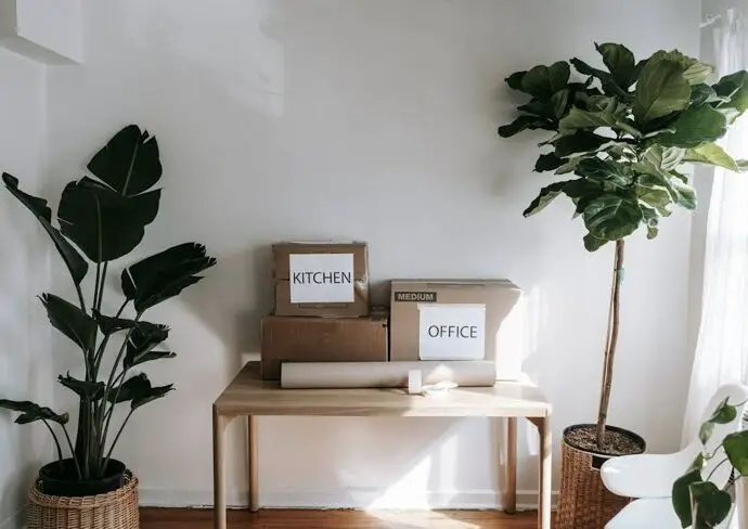 désencombrer méthode packing party définition principe cartons facile