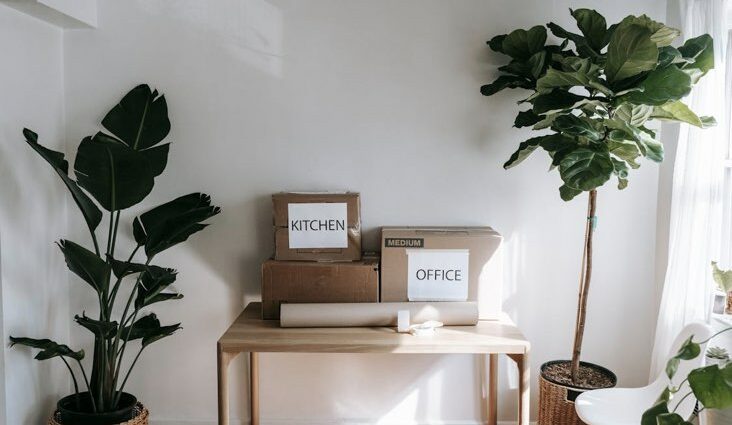 désencombrer méthode packing party définition principe cartons facile